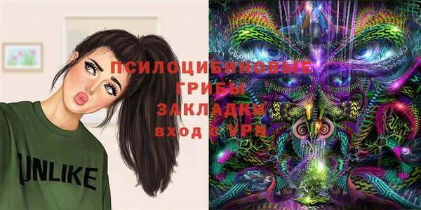бошки Покачи