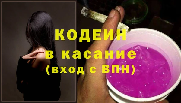 индика Протвино