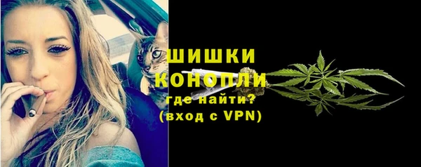 индика Протвино