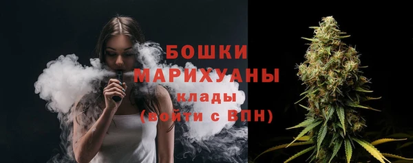 индика Протвино