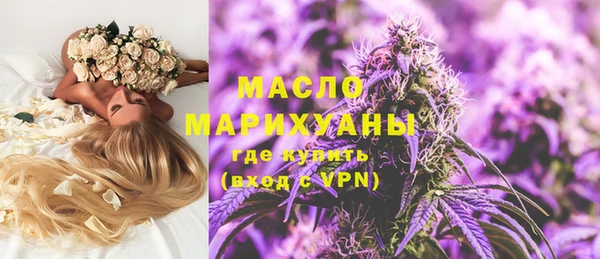 индика Протвино