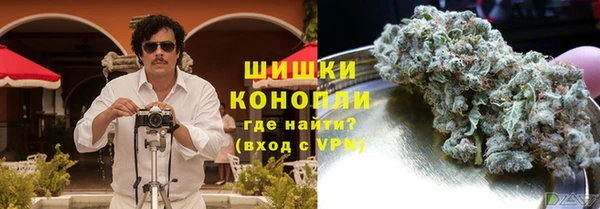 индика Протвино