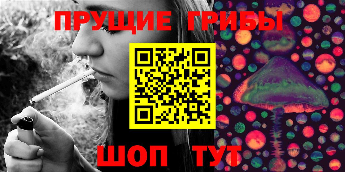 Псилоцибиновые грибы Psilocybine cubensis Советский