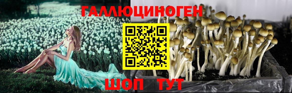 Советский  Галлюциногенные грибы Psilocybe  Вход с VPN  Псилоцибиновые грибы мицелий 